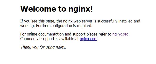Nginx default landing page